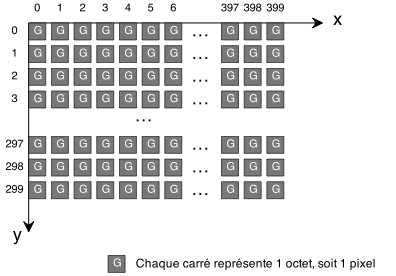 Bitmap en 256 niveaux de gris