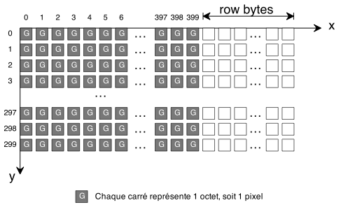 Bitmap en 256 niveaux de gris + rowBytes